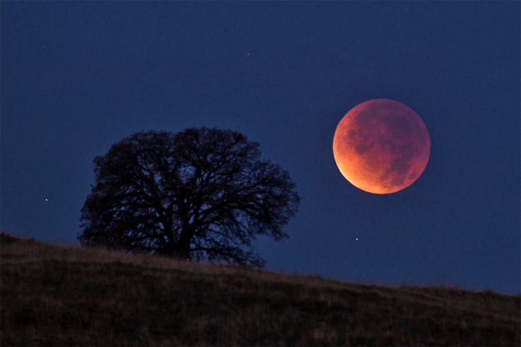 Eclipse lunar total na madrugada do dia 21 de janeiro