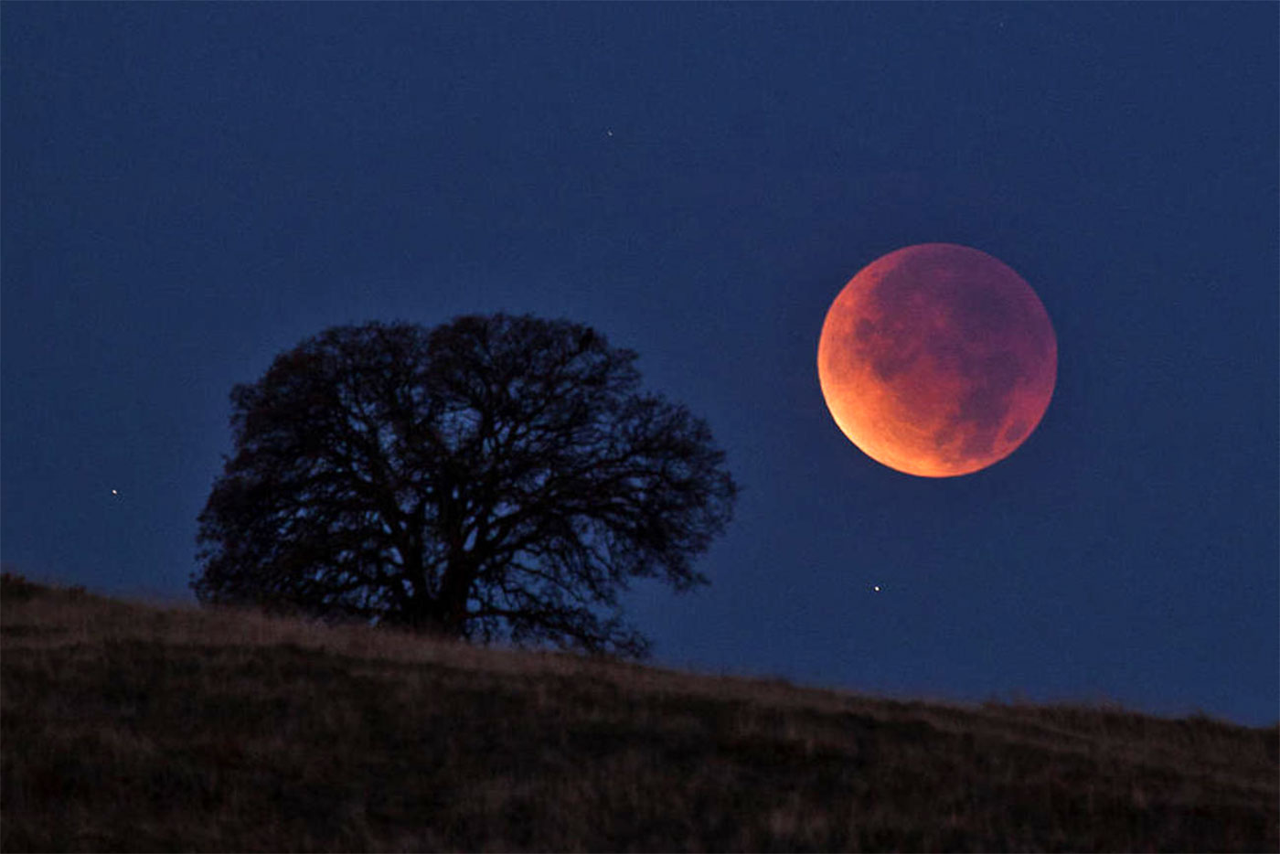 Eclipse lunar total na madrugada do dia 21 de janeiro