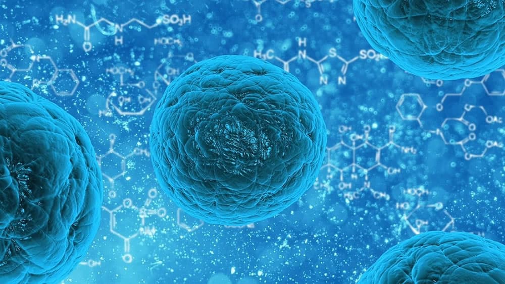 Cientistas criam células artificiais capazes de produzir a sua própria energia