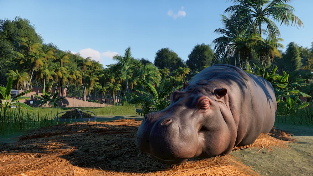 Planet Zoo, vamos preservar o que ainda temos