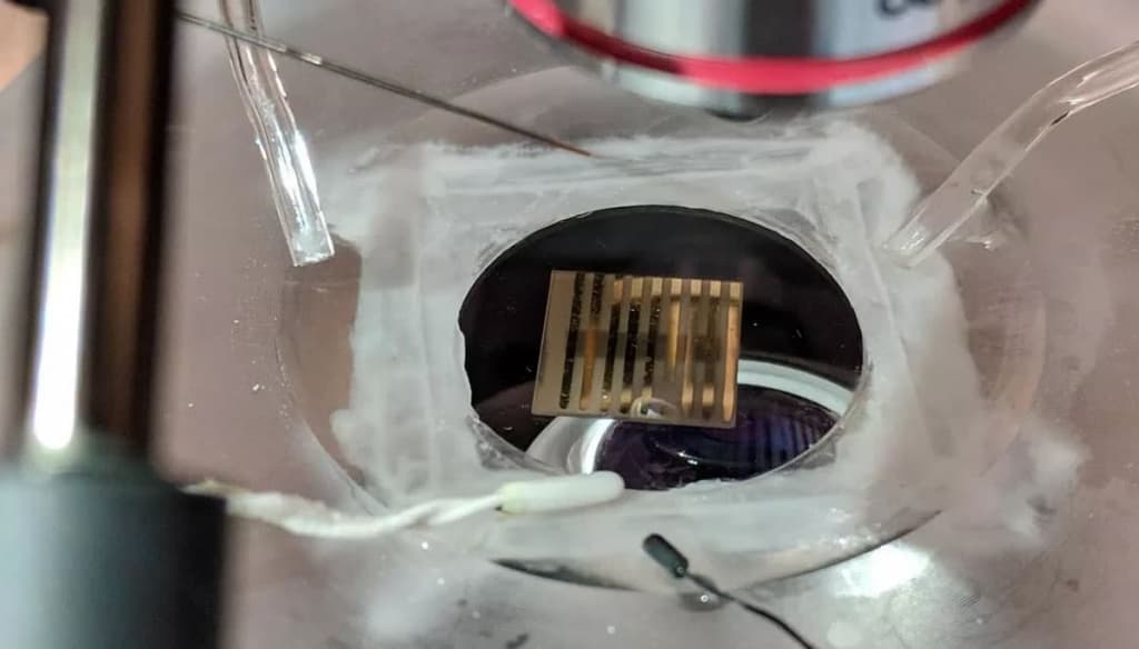 Cientistas produziram um material que poderá fazer “download do seu cérebro”