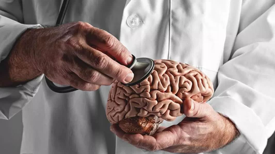 Cérebro de porco ressuscitado parcialmente mais de quatro horas após a morte