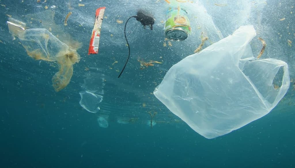 Micróbios que comem plástico poderão ser solução para poluição dos oceanos