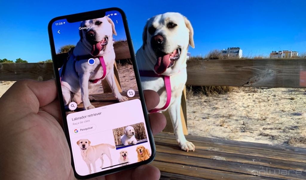 5 coisas mágicas que pode fazer com o Google Lens