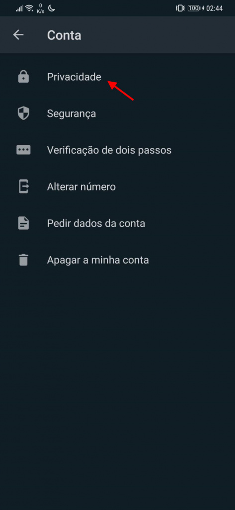 WhatsApp invisível desaparecer serviço mensagens
