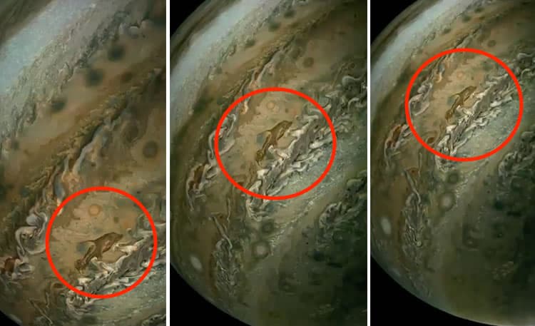 NASA: Sonda espacial Juno detecta imagem de golfinho na superfície de Júpiter (vídeo)