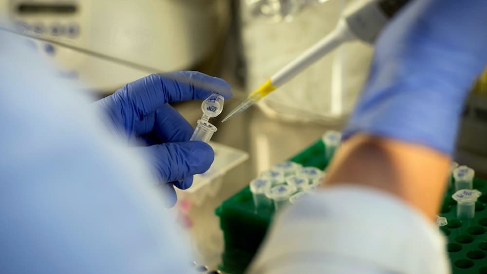 Estudo revela que novo coronavírus pode dividir-se em 3 grupos