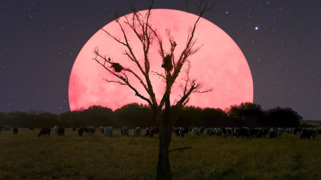Hoje é dia de Super Lua “cor-de-rosa”! Qual a melhor hora para ver em Portugal?