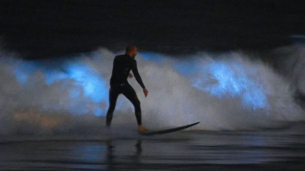 Ondas bioluminescentes surpreendem cidadãos do sul da Califórnia