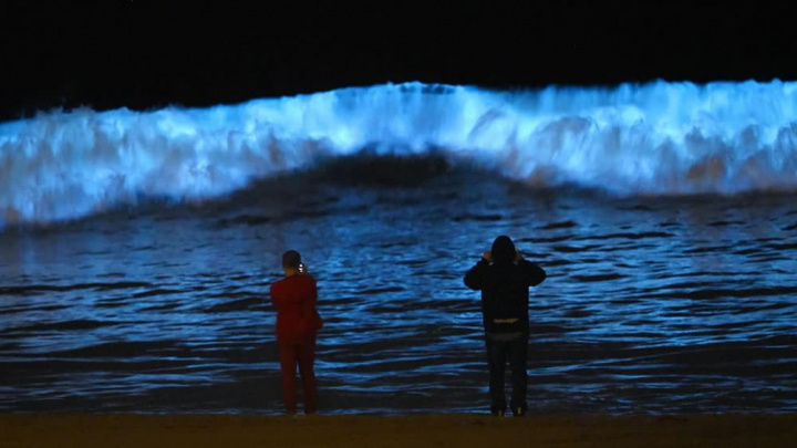 Ver de perto estas ondas raras