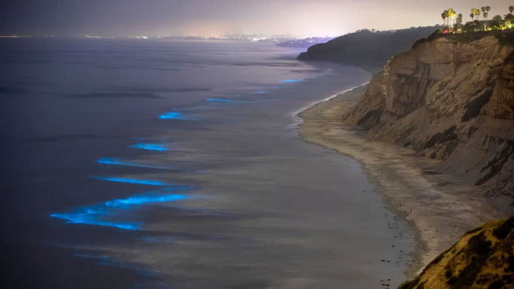 Imagem da costa da Califórnia com Ondas bioluminescentes