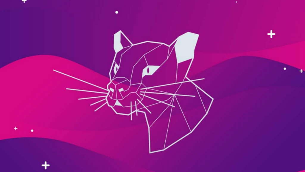 Ubuntu 20.04: Queixas da sua loja crescem depois da atualização para esta versão