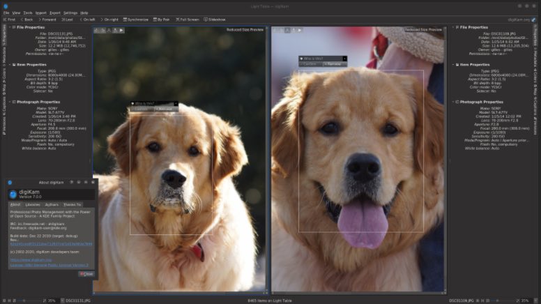 digiKam 8.6: pagar por apps de fotos quando há uma fantástica gratuita?