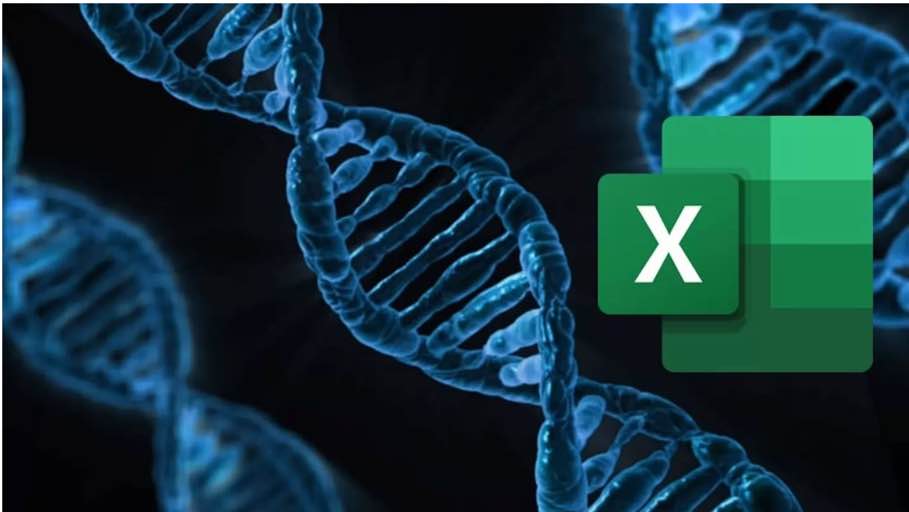 Ciência obrigada a mudar nome de genes! A culpa é do Microsoft Excel