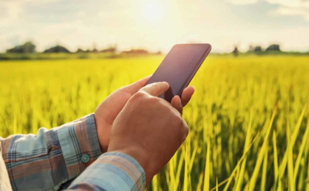 Climalert: App portuguesa alerta agricultores sobre mudanças climáticas