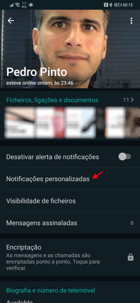 WhatsApp mensagens escreve smartphone toque