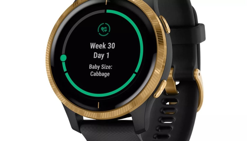Garmin adiciona monitorização de gravidez à sua aplicação Connect
