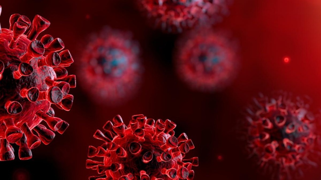COVID-19: Bactérias do intestino produzem compostos que inibem o vírus