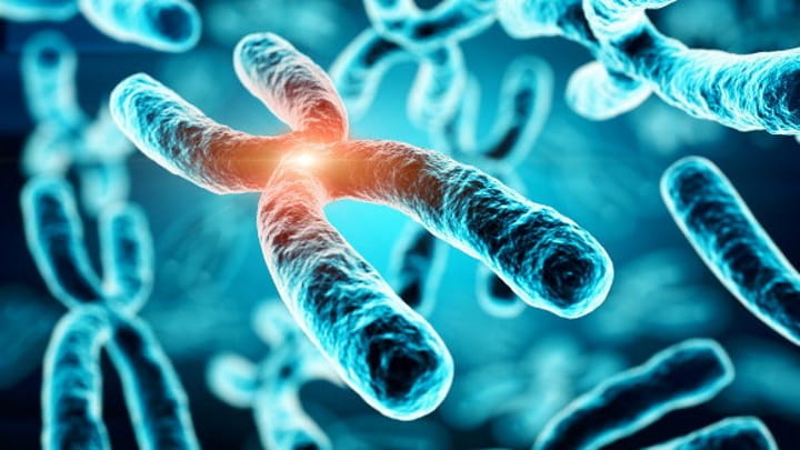 Cientistas dizem ter revertido o processo de envelhecimento de células humanas