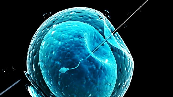 Startup está a utilizar IA para aumentar taxa de sucesso da Fertilização in Vitro