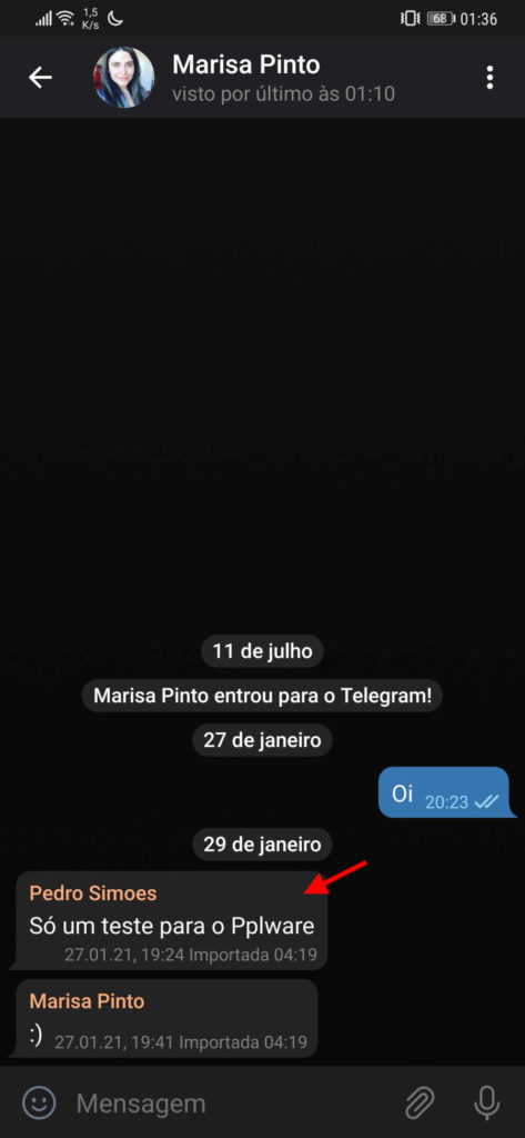 Telegram eliminar mensagens enviadas contato