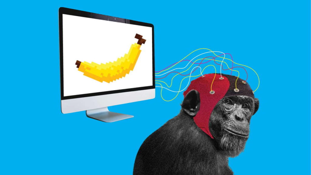 Elon Musk: Neuralink implantou computador no cérebro de um macaco para jogar