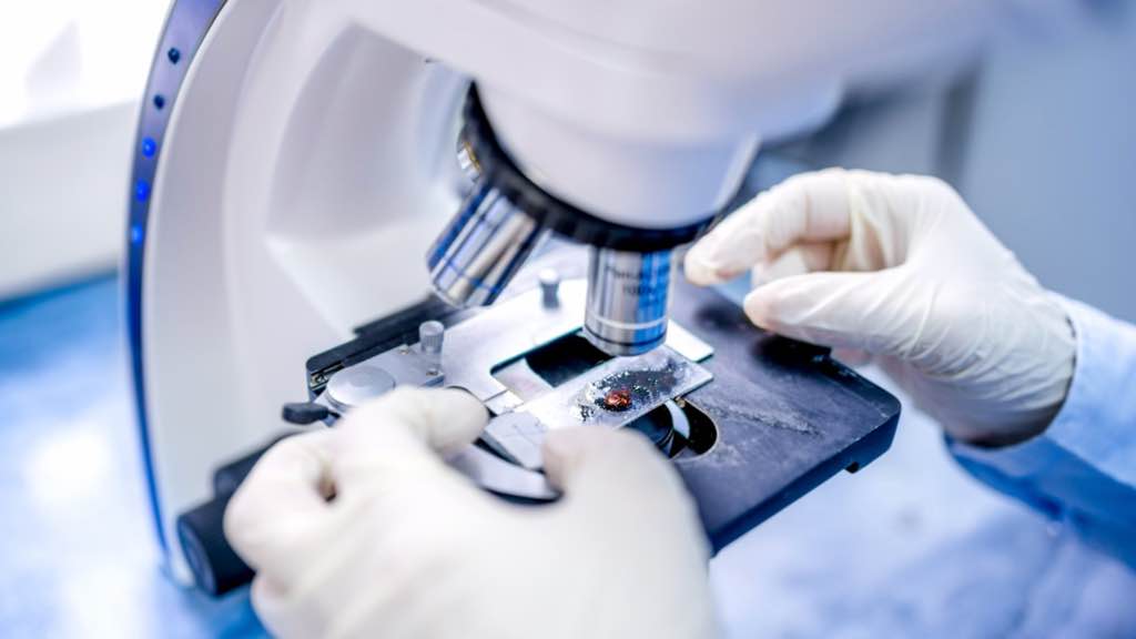 Portugal: Nova técnica permite criar em pouco tempo um órgão-em-chip