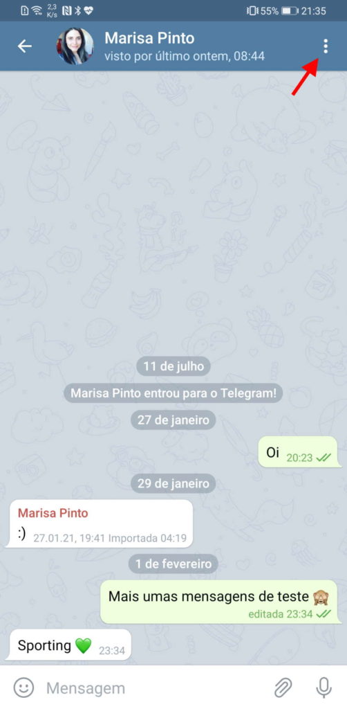 Telegram destruição mensagens menu opções