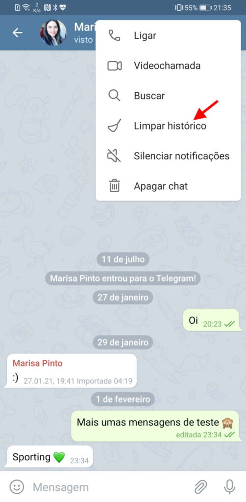 Telegram destruição mensagens menu opções