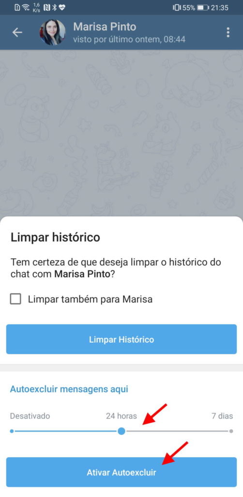 Telegram destruição mensagens menu opções
