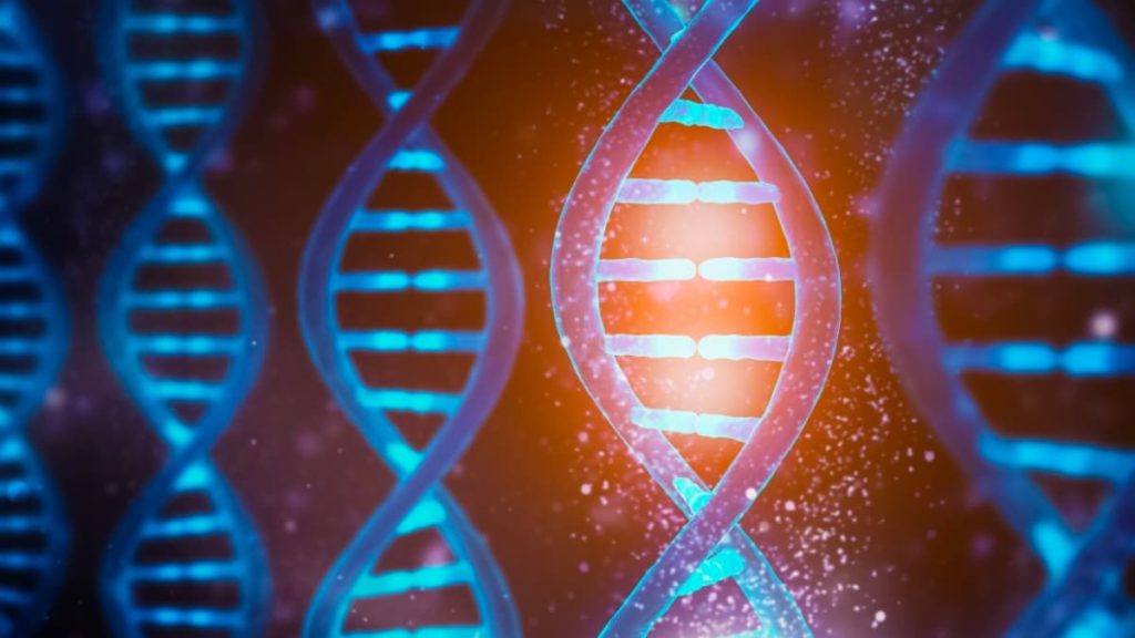 NVIDIA e Harvard usam Inteligência Artificial para análises de genoma rápidas e baratas