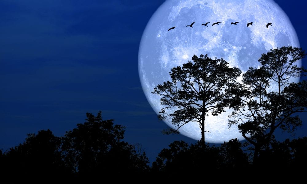 Hoje é dia de super lua! Saiba a que horas pode ver em Portugal