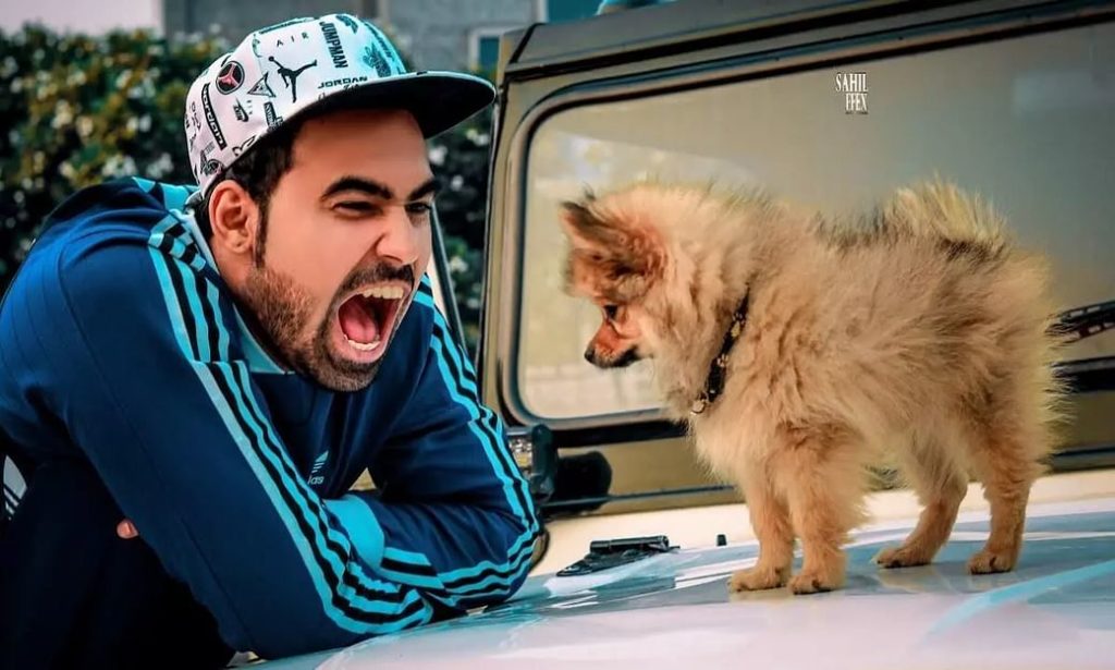Youtuber foi detido por colocar cão a voar com balões de hélio