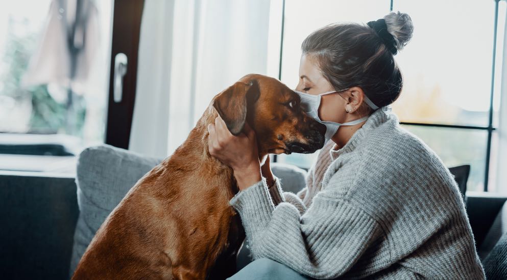 Atenção: Se a sua password é o nome do seu animal deve mudar