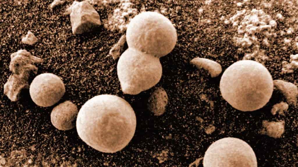 Cientistas dizem ter detetado fungos a crescer em Marte. Será?