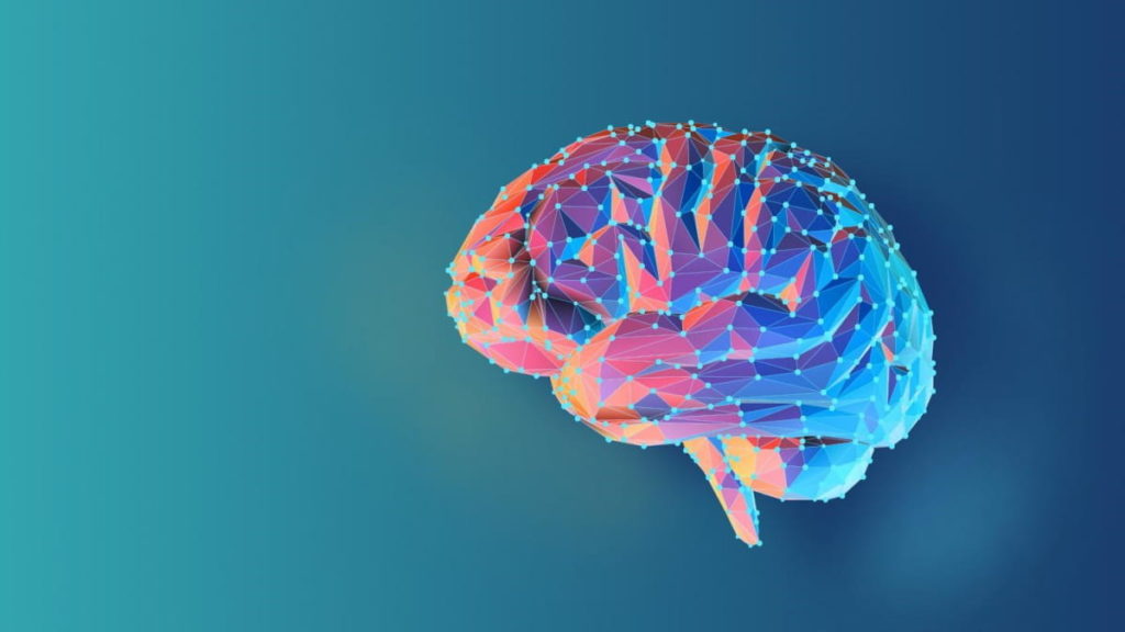Google mapeou uma parte do cérebro humano da forma mais detalhada de sempre