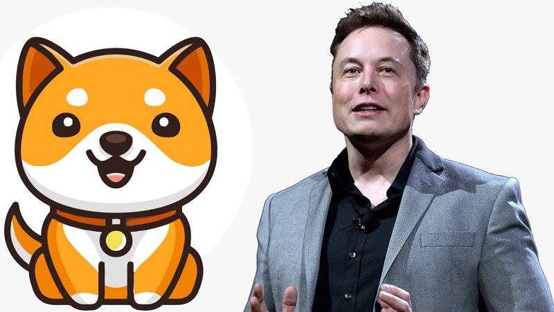 BabyDoge, a criptomoeda derivada do Dogecoin, aumentou 100% após tweet de Musk