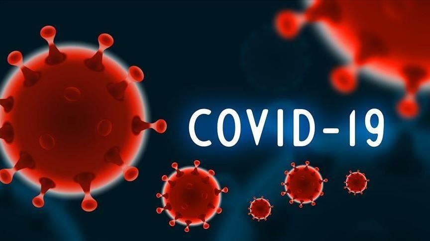 Pandemia Clara: Como está o seu concelho na COVID-19?