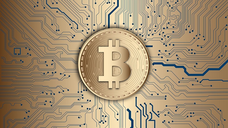 CEO da Coinbase responde ao criador da Doge e diz que as criptomoedas dão liberdade