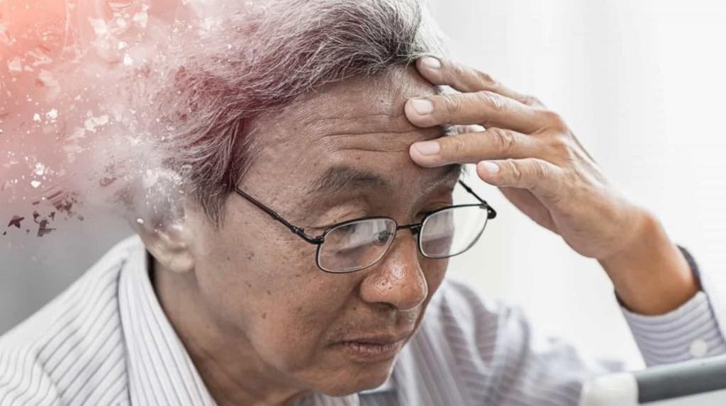Investigação liderada por português: Proteína cerebral atrasa “origem” de Alzheimer