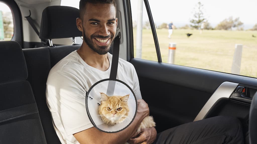 Uber Pet: Já pode pedir um Uber e levar o seu animal de estimação