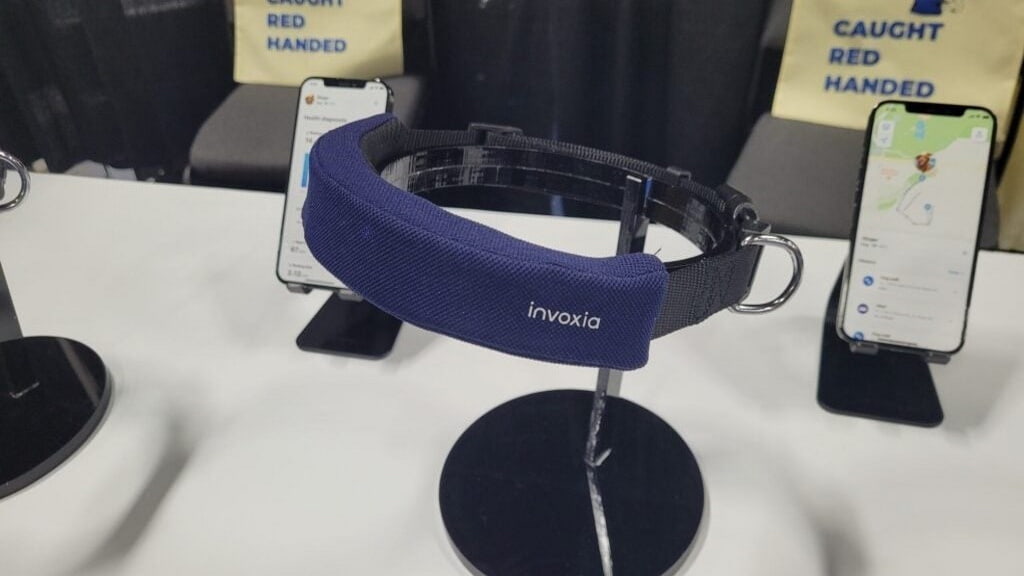 Coleira inteligente é uma espécie de smartwatch para o seu animal de estimação