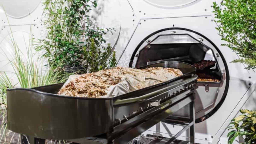 Recomposição: um processo que transforma os cadáveres em composto orgânico