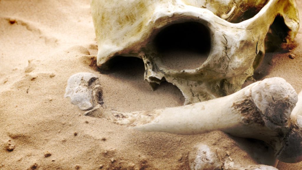 Humanos estão condenados à extinção… não há salvação!