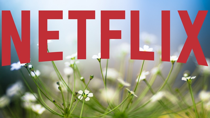 Estas são as estreias de filmes e séries na Netflix para março