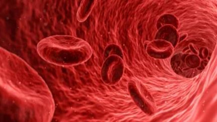 Microplásticos encontrados no sangue humano, pela primeira vez