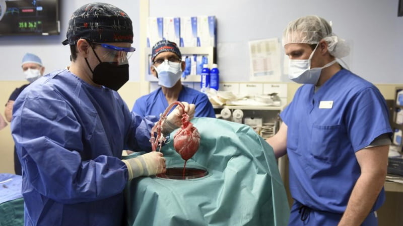 Homem que recebeu o primeiro transplante de coração de porco morre após 2 meses