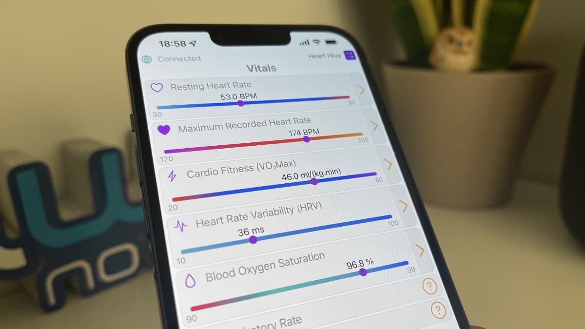 Heart Hive: App de saúde para comparar as suas métricas com as de pessoas da sua idade