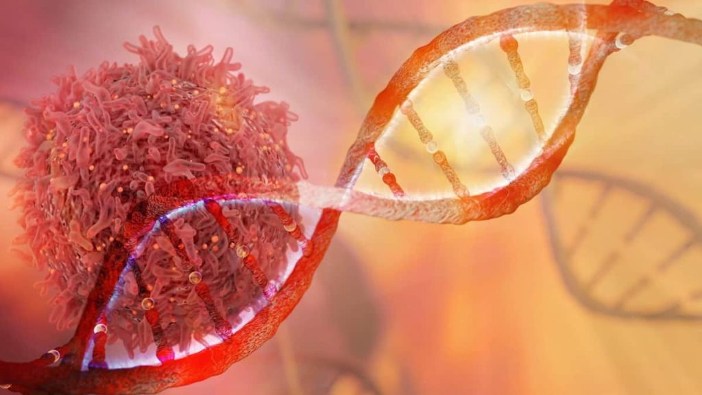 Estudo sobre o ADN dos cancros humanos dá novas pistas sobre as suas causas