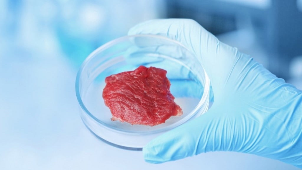 Carne de laboratório é melhor para a saúde e para o planeta, diz estudo